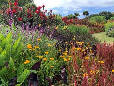 Auckland Botanic Gardens